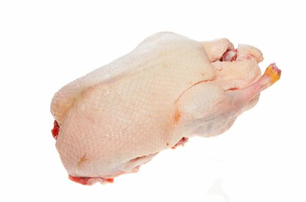 hele eend ca 2100 gram